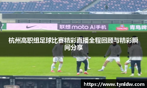 星欧娱乐下载官网