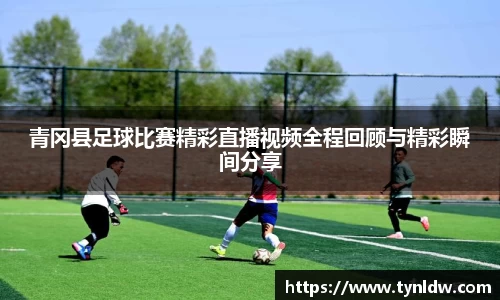 星欧娱乐下载官网