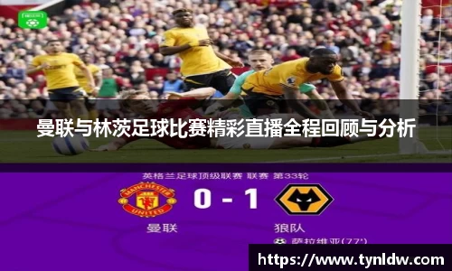 星欧娱乐下载官网