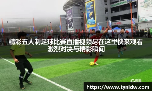 星欧娱乐下载官网