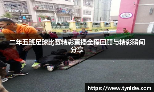 星欧娱乐下载官网