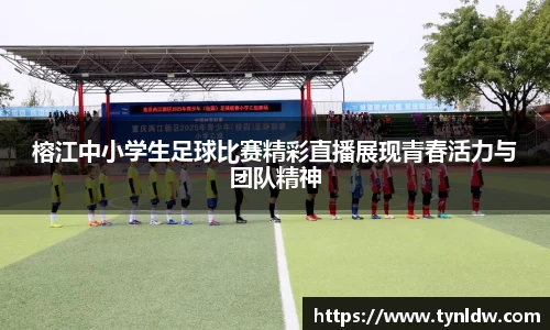 星欧娱乐下载官网