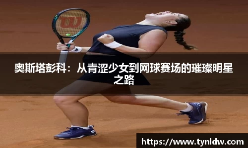 星欧娱乐登录