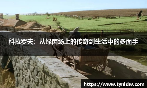 星欧娱乐登录