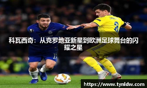 星欧娱乐登录