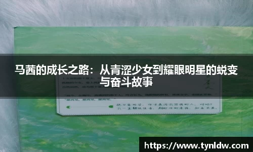 星欧娱乐