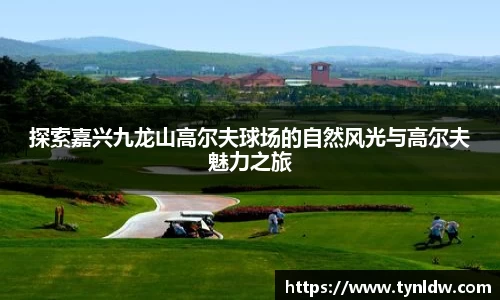 星欧娱乐登录