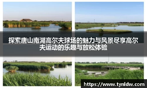 星欧娱乐登录