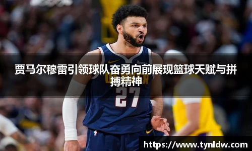 星欧娱乐